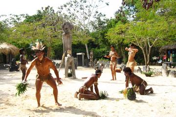 Samana Day Trip from Santo Domingo with Buffet Lunch