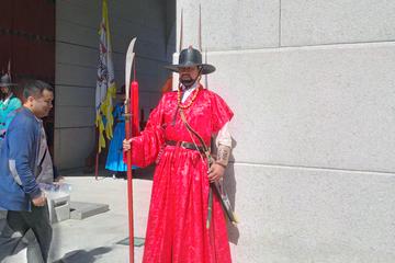 Seoul National Palace Museum of Korea Private Tour with Lunch Option