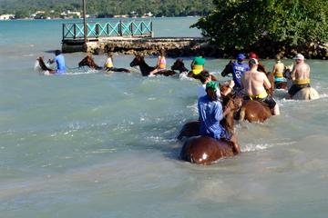 Horse Back Ride and Swim from Falmouth Cruise Port