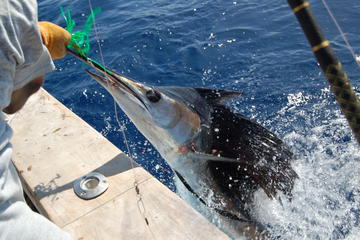 St Lucia Sports Fishing Adventure