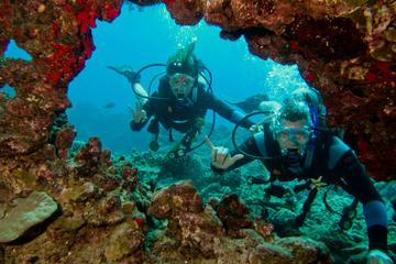 Maui Certified Scuba Diving Tour