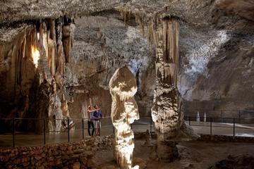 Postojna cave and Predjama castle day trip from Bled