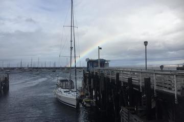 Private 3 Hour Whale Watching Cruise (7-11 People)