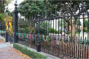 The Big Easy Insider Tour: The Locals Experience
