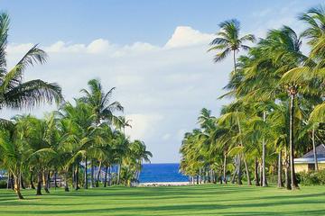 Nevis Plantation and Beach Experience from St Kitts