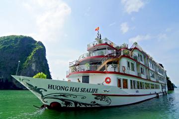 Overnight Halong Bay and Bai Tu Long Bay Cruise