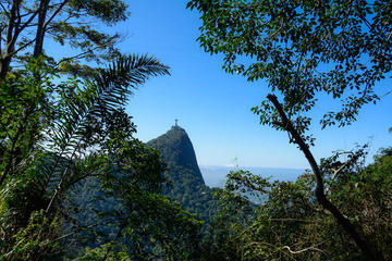 Private Tour: Santa Teresa and Tijuca Forest Photo Tour