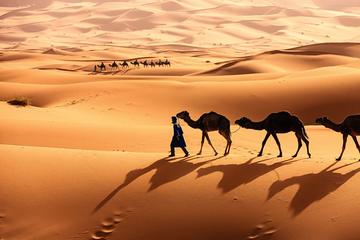 Desert tour Marrakech to Zagora