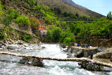 Private Day Trip to Ourika Valley with Short Hike and Berber Experience from Marrakech