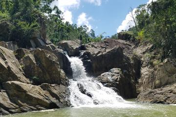 El Yunque National Forest an Cave Tour from San Juan