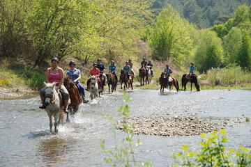 2-Hour Horseback Riding Experience in Marmaris