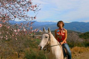 Alanya 3 Hour Horse Back Riding
