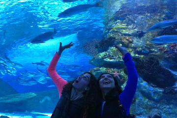 Antalya Aquarium including Hotel Pickup