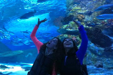 Antalya Aquarium with a Short City Tour and Visit to Lara Waterfall