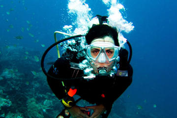 Diving in the Mediterranean sea