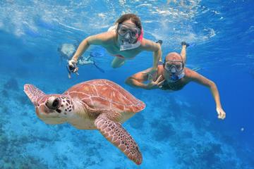 Fishing and Snorkeling Full-day Boat Trip with Lunch and Drinks