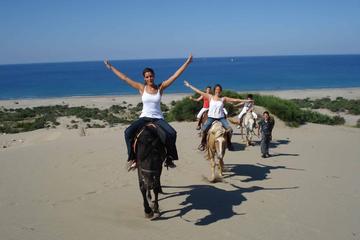 Horse Back Riding in Side