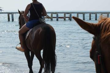 Horseback riding in Bodrum