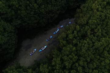 Bioluminescent Bay Kayak Adventure Tour from San Juan