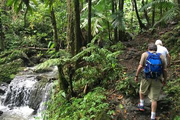 El Yunque National Forest Half Day Tour