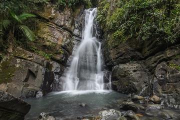 El Yunque National Forest Tour from San Juan