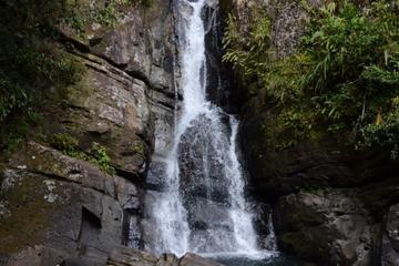 El Yunque Rainforest Nature Walk and Bioluminescent Bay Kayaking Combo Tour