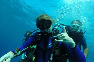 Introductory Dives