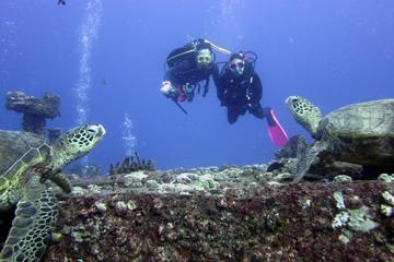 Small-Group Shallow Reef Dive in Honolulu