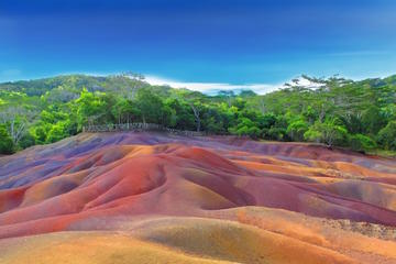 Dolphins and Volcanic Wonders Day Trip