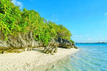 Ile aux Aigrettes Nature Reserve Tour Including Blue Bay Beach & Mahébourg
