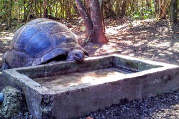 Mauritius History and Eco Tour: Ile aux Aigrettes Nature Reserve - Blue Bay Beach - Historic Village of Mahébourg - Naval Museum