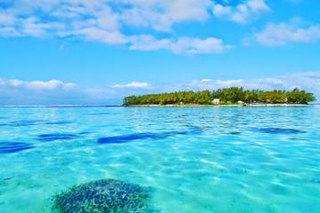 Speedboat Tour of Ile aux Cerfs including Snorkelling in Blue Bay and Grand River South East Waterfall