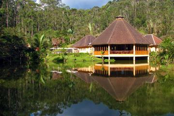 Full-Day Andasibe-Mantadia National Park Private Tour from Antananarivo
