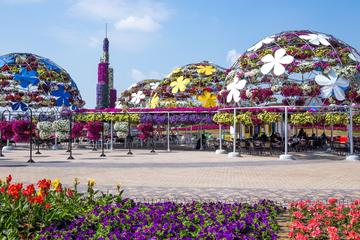 Miracle Garden with Hotel Pick Up and Drop Off in Dubai