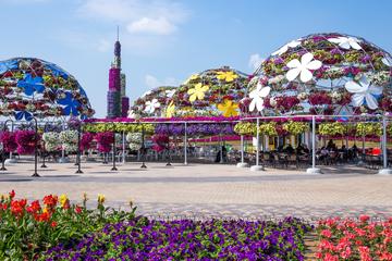 Miracle Garden with Transfers from Abu Dhabi