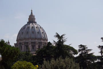 Skip the Line: Vatican Tour including the Sisitine Chapel and St Peter's Basilica