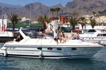 Luxury motor boat cruise with whale and dolphin watching