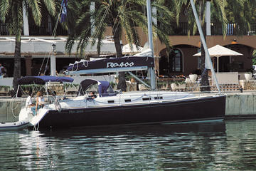 Wal- und Delfinbeobachtung auf einer luxuriösen Privatjacht