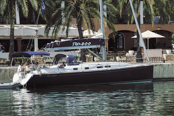 Whale and Dolphin Watching Luxury Private Yacht Tour