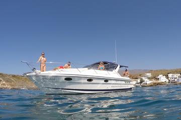 Whale and Dolphin Watching Private Motor Boat Full Day Charter