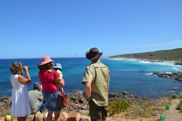 Margaret River Coastal and Wildlife Eco Trip from Busselton or Dunsborough