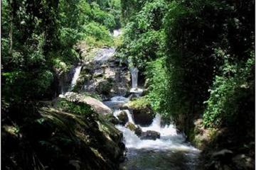 Cuc Phuong National Park Trekking Day Trip