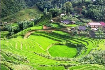 Full-Day Biking Adventure in Sapa