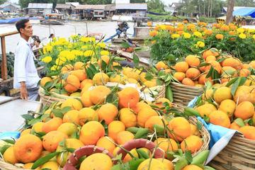 Private Full-Day Mekong Delta Tour by Speedboat