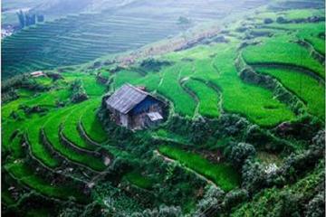 Sapa Easy Trek with Bac Ha Market 2D3N