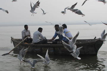 2-Hour Morning Boat Tour in Varanasi With Ganga Ghat Ceremonies