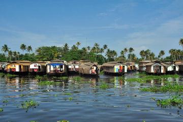 6-Day Private Tour: Periyar Wildlife Sanctuary and Backwater Houseboat Cruise in Kerala