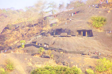 Mumbai Sanjay Gandhi National Park Kanheri Caves Private Trip with Lunch