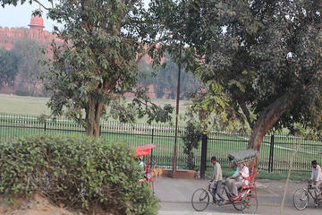 Old Delhi Tour with Gandhi Museum Including Rickshaw Ride