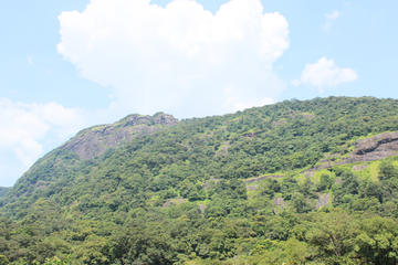 Private Tour: Nandi Hill Full-Day Tour including Lunch and Hotel Transfer from Bangalore